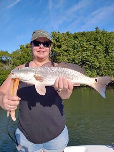 Redfish, 23 inches, caught fishing in FL