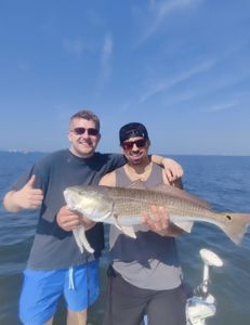 Redfish caught in Florida while fishing