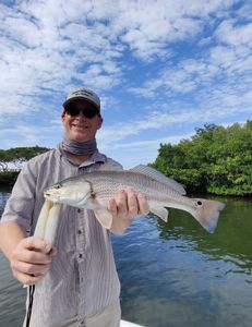 Redfish caught in FL