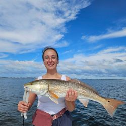 Redfish caught fishing in FL