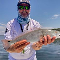 Redfish caught in FL