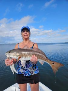 Redfish caught by angler in FL