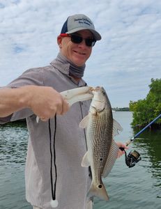 Angler holding a redfish in Sarasota