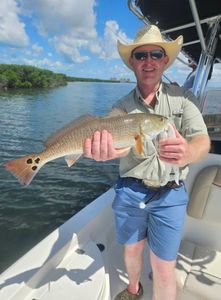 Redfish caught while fishing in Sarasota