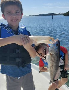 Two redfish, fishing in Sarasota