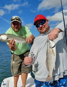 2 redfish caught in Sarasota, Florida