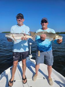 Two redfish caught in FL