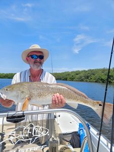 Angler catches a 29-inch fish in Sarasota