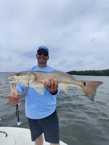 A single redfish, 35 inches, caught while fishing in Sarasota