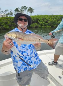 Redfish caught while fishing in Sarasota