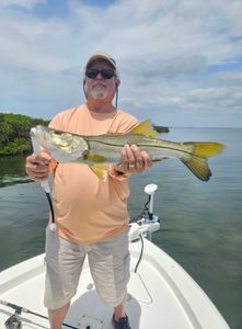 A person fishing for a snook in Sarasota