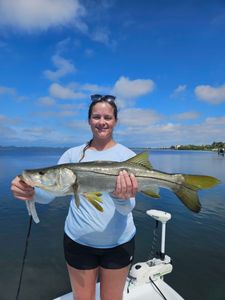 Snook fish caught in Sarasota