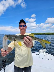 A snook, a large saltwater fish, caught in Sarasota
