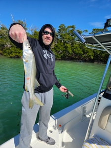 Beautiful Sarasota snook caught on the water today!