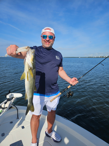 Beautiful Sarasota snook caught on the water today!