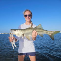 Snook, a 29-inch fish, caught while fishing in Sarasota