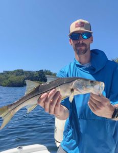 Snook fish caught in FL