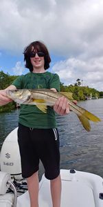 Snook fishing in Sarasota