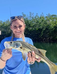 Snook fishing in Sarasota, Florida