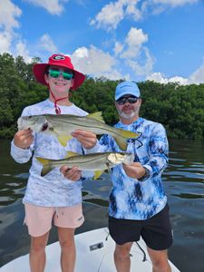 Two large snook fish caught in Sarasota