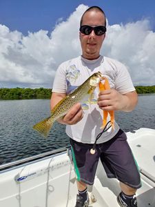 Spotted weakfish caught while fishing in Florida