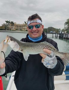 Spotted Weakfish, 18 inches, caught fishing in FL