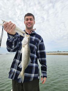 Spotted Weakfish, 23 inches, fishing in FL