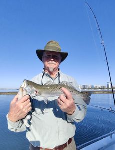 Spotted Weakfish, 18 inches, fishing in Sarasota