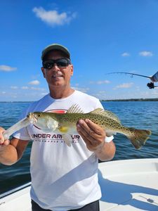Spotted Weakfish, a 24-inch fish, caught while fishing in Sarasota
