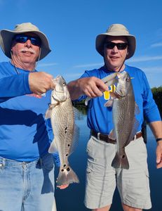 Two redfish caught in Sarasota