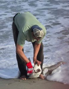 Charleston fishing adventure
