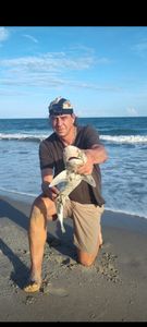 Expert Isle of Palms shark fishing