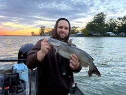 Channel catfish caught while fishing on lake in Elma New York during sunset