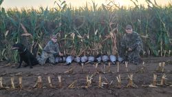 Successful waterfowl hunt in Elma New York with multiple ducks displayed in cornfield