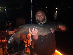 Large fish catch displayed on fishing boat deck at night in Elma New York