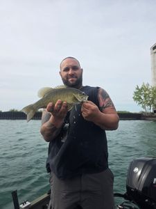 Smallmouth bass caught fishing in Elma New York