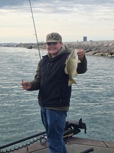 Smallmouth bass caught fishing in Elma New York