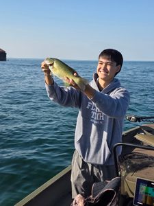 Smallmouth bass caught while fishing in Elma New York