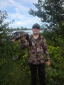 Hunter with harvested turkey in wooded area near Elma New York