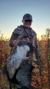 Hunter with harvested turkey in wooded area during hunting season in Elma New York