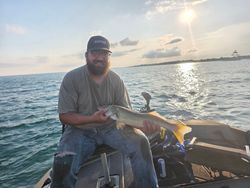 Walleye caught fishing on boat in Elma New York