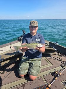 Fresh walleye catch displayed on fishing boat in Elma New York waters