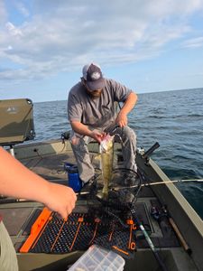 Walleye catch held on fishing boat in Elma New York with fishing gear and net visible