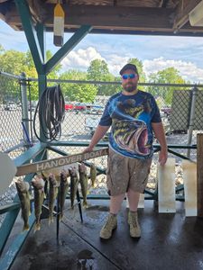 Fresh caught walleye displayed on fishing dock in Elma New York