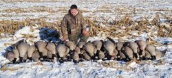 Hunting success with multiple harvested waterfowl arranged in snowy field in Elma New York