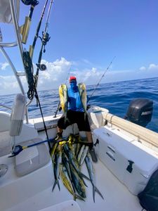 Two 25-inch fish caught in FL while cruising and fishing