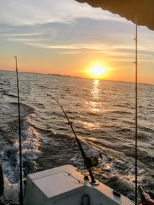Fishing in FL