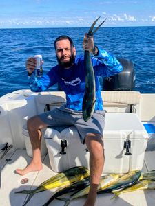 3 big fish caught while cruising and fishing in FL