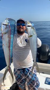 Great Barracuda fish caught on cruises and fishing trip in FL