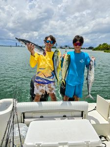 4 king mackerel, 25 inch fish caught while fishing in FL